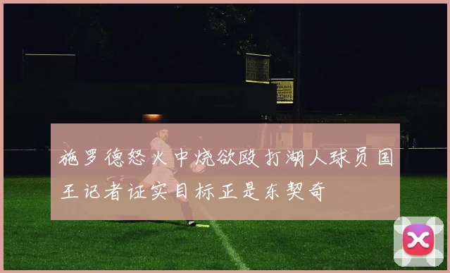 施罗德怒火中烧欲殴打湖人球员国王记者证实目标正是东契奇